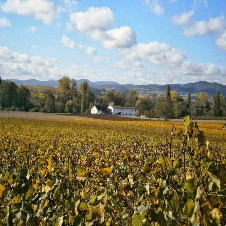 Gaststätte Mühlengrund Restaurant